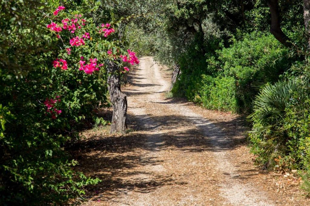 Villa Tramonto Alghero Esterno foto