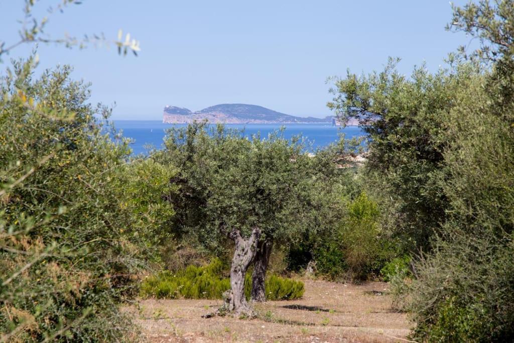 Villa Tramonto Alghero Esterno foto