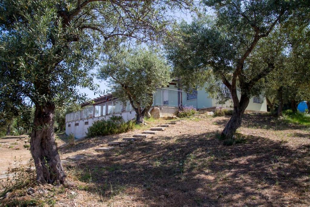 Villa Tramonto Alghero Esterno foto