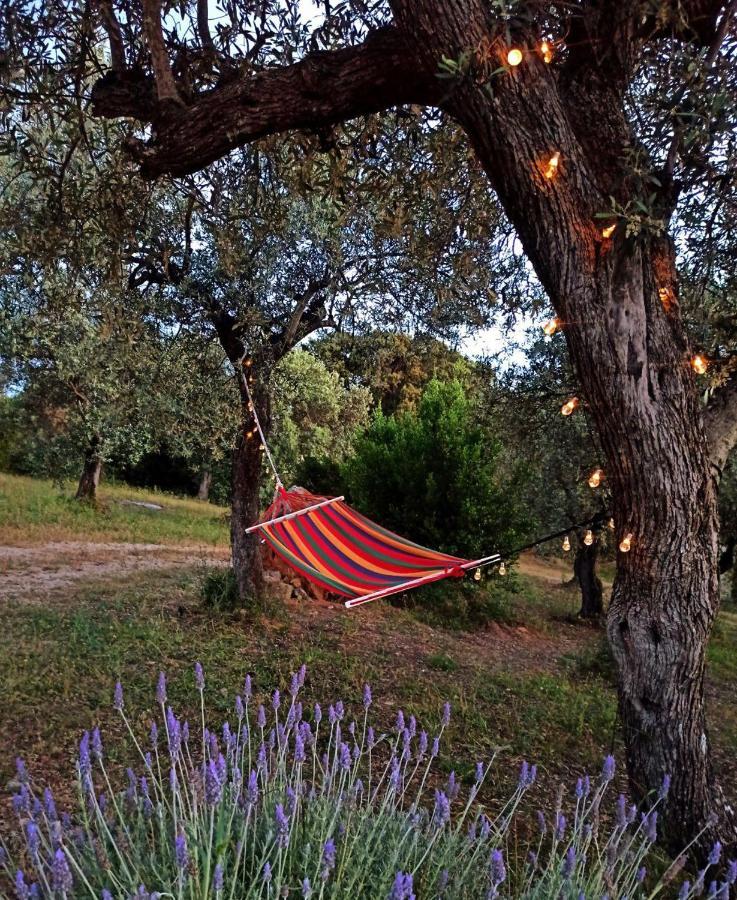Villa Tramonto Alghero Esterno foto